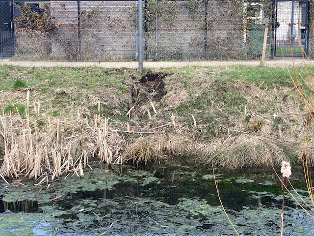 230315 Schade overs Leukerschansstraaat – 1