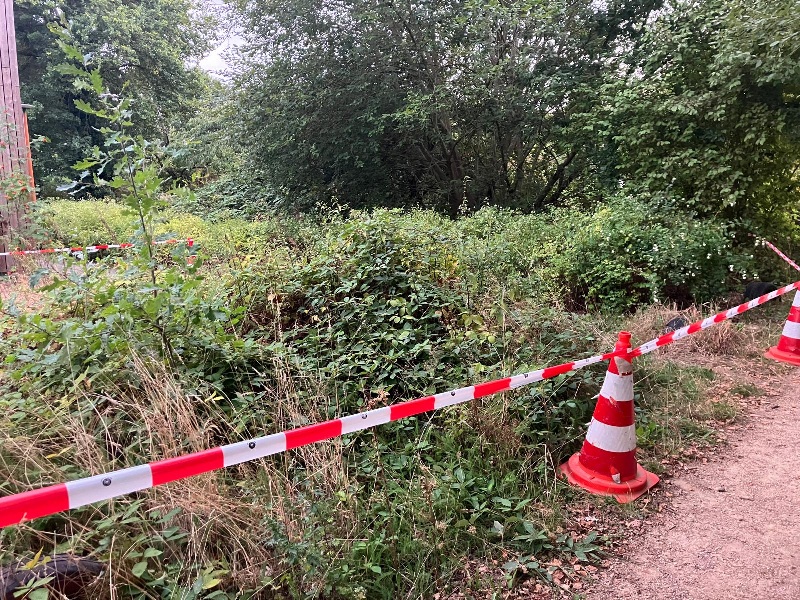 260827 Hoornaarsnest Leukerpark