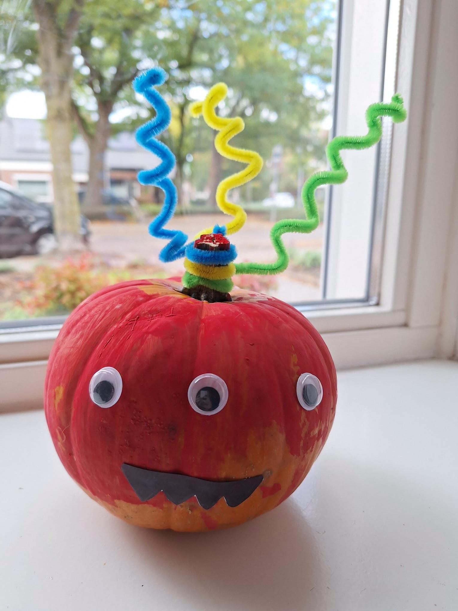 261029 inzending pompoenwedstrijd-2